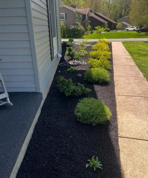 perezlandscapingservices_1746486073_3626110462635994582_55943526933