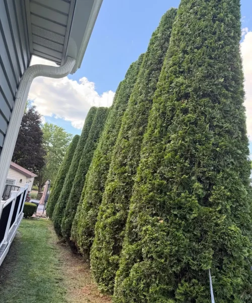 perezlandscapingservices_1781659565_3921140676678835917_55943526933