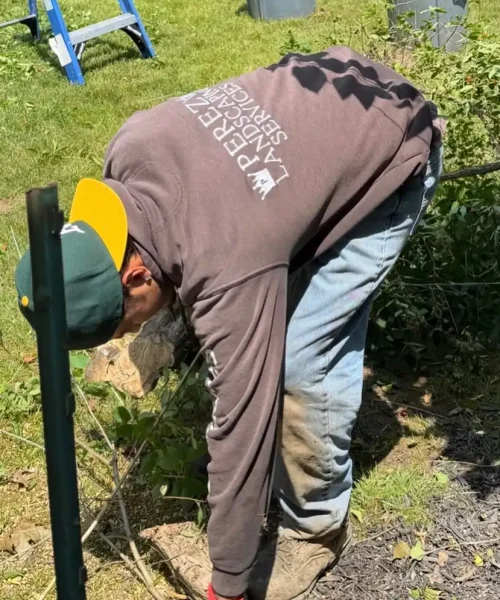 perezlandscapingservices_1782521579_3928398170832680425_55943526933